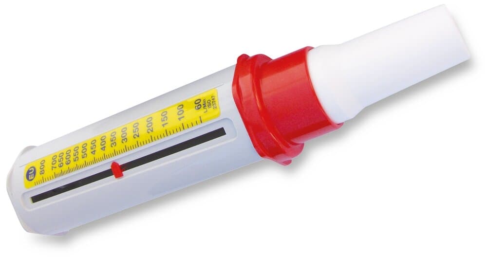 Débitmètre de pointe MINI WRIGHT